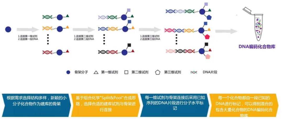 医麦客 中国生物医药产业新媒体