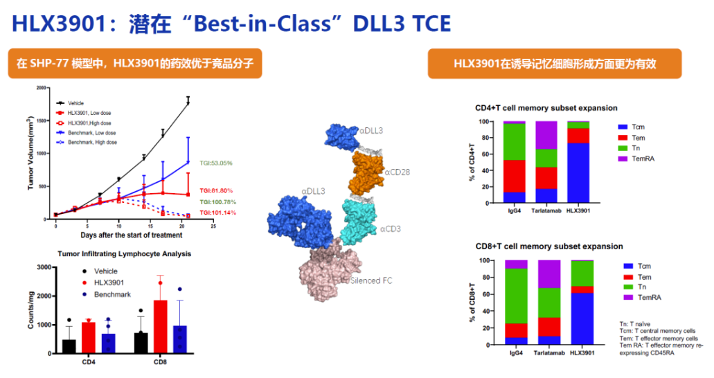 勃林格殷格翰：DLL3/CD3启动一线小细胞肺癌三期临床